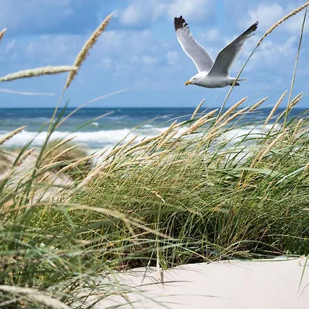 In Het Zoute With Sea Views *