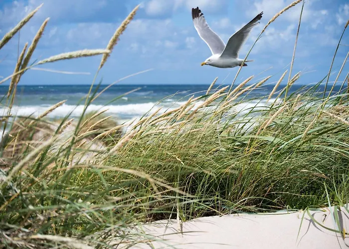 In Het Zoute With Sea Views *